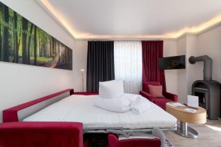 Villa Nause-FeWo Buchenfreund mit Spa und Freizeit - 1