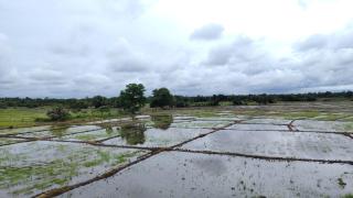 Wana Seven Crest Resort - 9