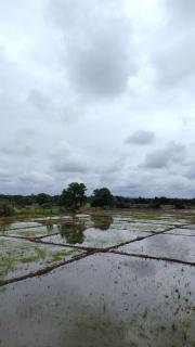 Wana Seven Crest Resort - 7