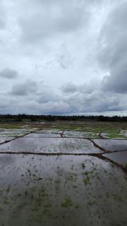 Wana Seven Crest Resort - 3