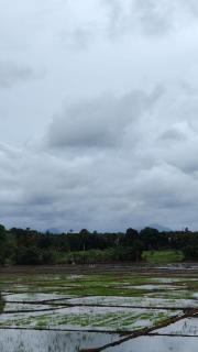 Wana Seven Crest Resort - 2