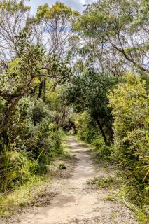 Bay House 95 by the BnB Collection - 8