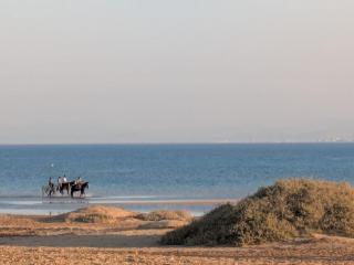 Beachy Pool side Mesca Cabana Somabay Steps to Sea - 7