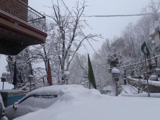 Wood Berry Hotel - Dargai - 8