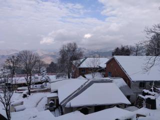 Wood Berry Hotel - 2