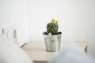 Aida's Apartments - 4