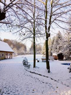 Chatka zimorodka - 3