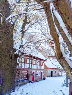 Chatka zimorodka - 8