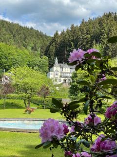 Flair-Hotel Waldfrieden - 1