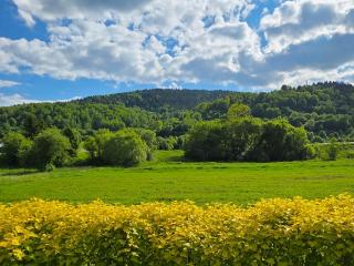 Domek GORCZAŃSKA KOLIBA w Gorcach - 7