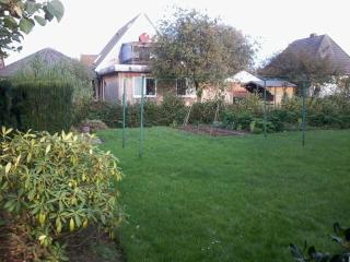 Strandnahe Erdgeschosswohnung Pferde Taxi - 2