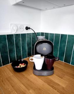 Konk-Kerne, magnifique T2 proche tramway - 8