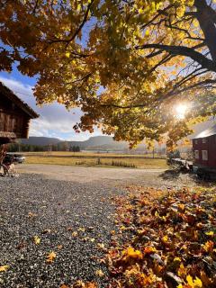 Beautifully located farm unique experience - 9