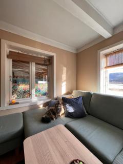 Beautifully located farm unique experience - 7