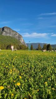 Beautifully located farm unique experience - 1