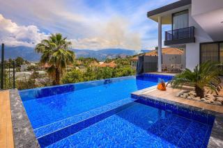 Luxury Villa with Private Pool for 4 People in Kaş Patara - 4