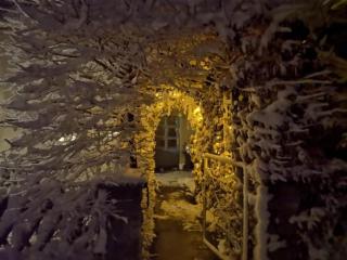 Familienfreundliche Gemütliche Ferienwohnung In Luchau Mit Garten Und Grill - - 8