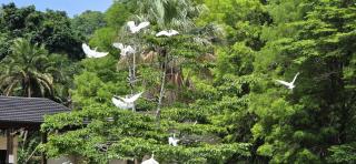 Eden Wilds J124 - Sleeps 4 - 8