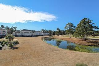 Magnolia North 4839-203 - 7