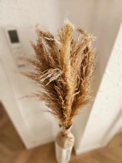 Apartamentos Casa del Mar - 3