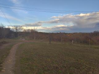 Peacefull retreat - 7