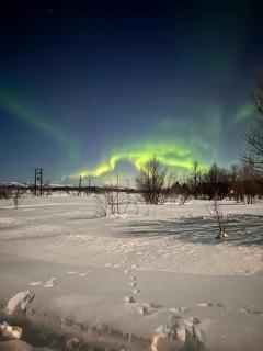 hytte paradis ved Neidenelva - 9