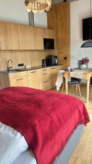 Apartamenty u Harrego BOUTIQUE SPA z klimatyzacja, balkon, sauna, tężnia parking - 6