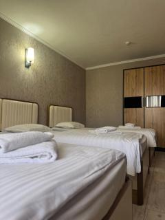 The Artist Regency Hotel Tashkent - 7