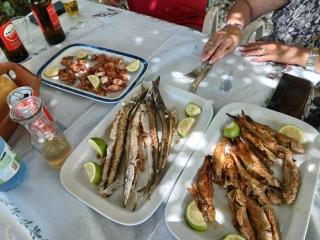 Country Style Home - 1