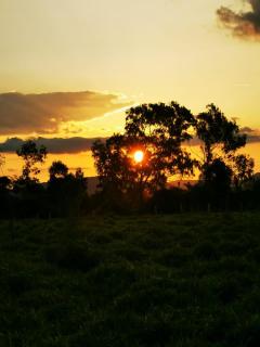 Idyllic country house - 5