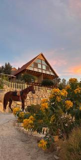 Dana luxury huts - 0