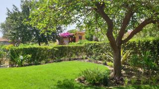 Ferienwohnung Trilo Mulbery Mit Großem Garten - 4