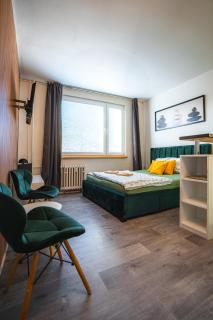 Výchozí bod pro saské Švýcarsko, pet friendly, Děčínský moderní apartmán - 0