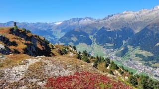 Hotel Disentiserhof C502 - 9