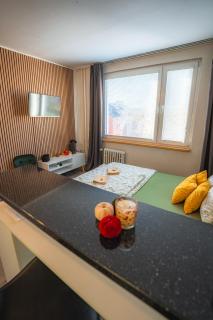 Výchozí bod pro saské Švýcarsko, pet friendly, Děčínský moderní apartmán - 6