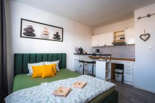 Výchozí bod pro saské Švýcarsko, pet friendly, Děčínský moderní apartmán - 2