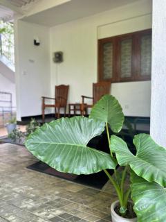 Green Corridor - Ahangama - 8