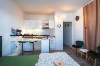 Výchozí bod pro saské Švýcarsko, pet friendly, Děčínský moderní apartmán - 5