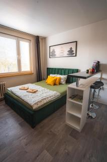 Výchozí bod pro saské Švýcarsko, pet friendly, Děčínský moderní apartmán - 1