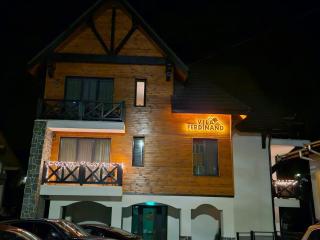 Vila Ferdinand Camelia Apartament - 9