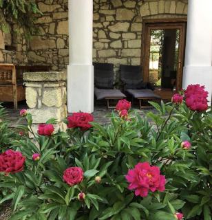 Úrágya Vendégház - Mád - 5