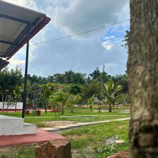 JUNGLE FARMS By MAARK INN - 6