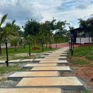 JUNGLE FARMS By MAARK INN - 1