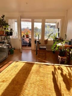 1 Zimmer mit Aussicht und 1 Zimmer mit Balkon in 4 Zimmer Wohnung, Szene, Parks und Top Lage - 0