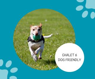 Sandhaven Beach Chalets - 3