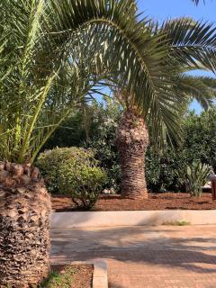 SeaBreeze Retreat with Pool & Garden - 3