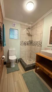 The Green Lantern - Howick - 4