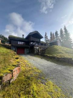 Cabin in Kvamskogen - 0