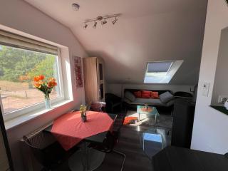 4-Sterne Ferienwohnung - 1