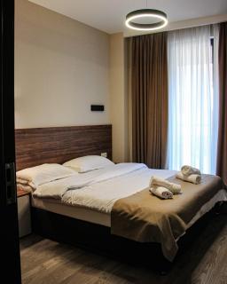 Crystal Loft Bakuriani Apartment - 5